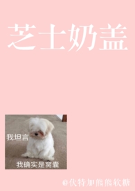 芝士奶盖莓莓配比